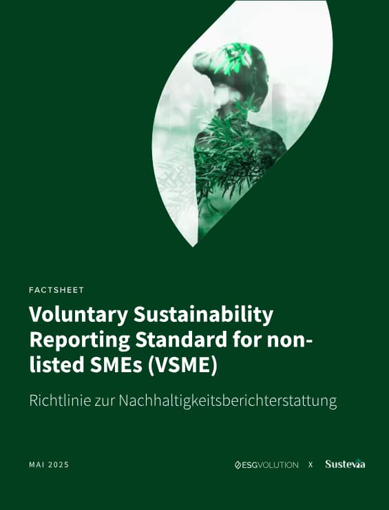 VSME-Factsheet